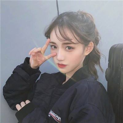 文豪野犬手游台服下载